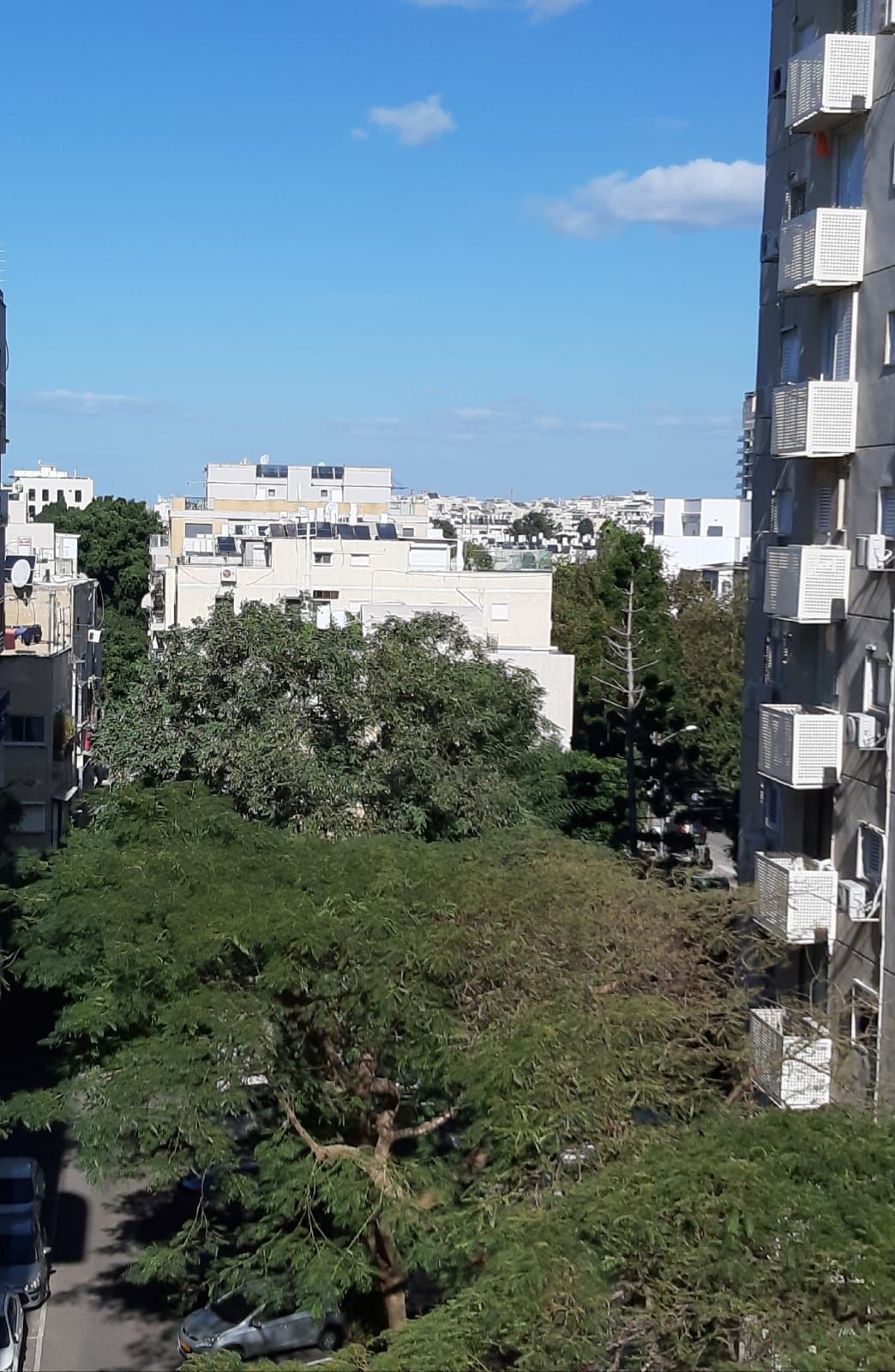 רחל - 4