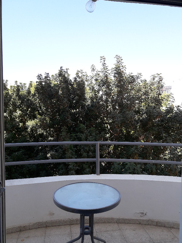 גורדון - 2