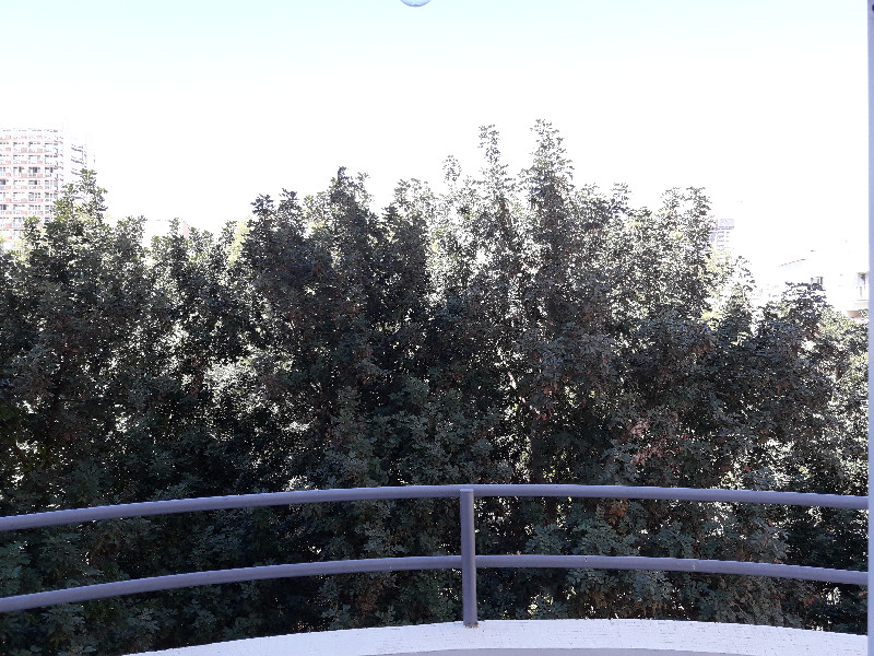 גורדון - 3