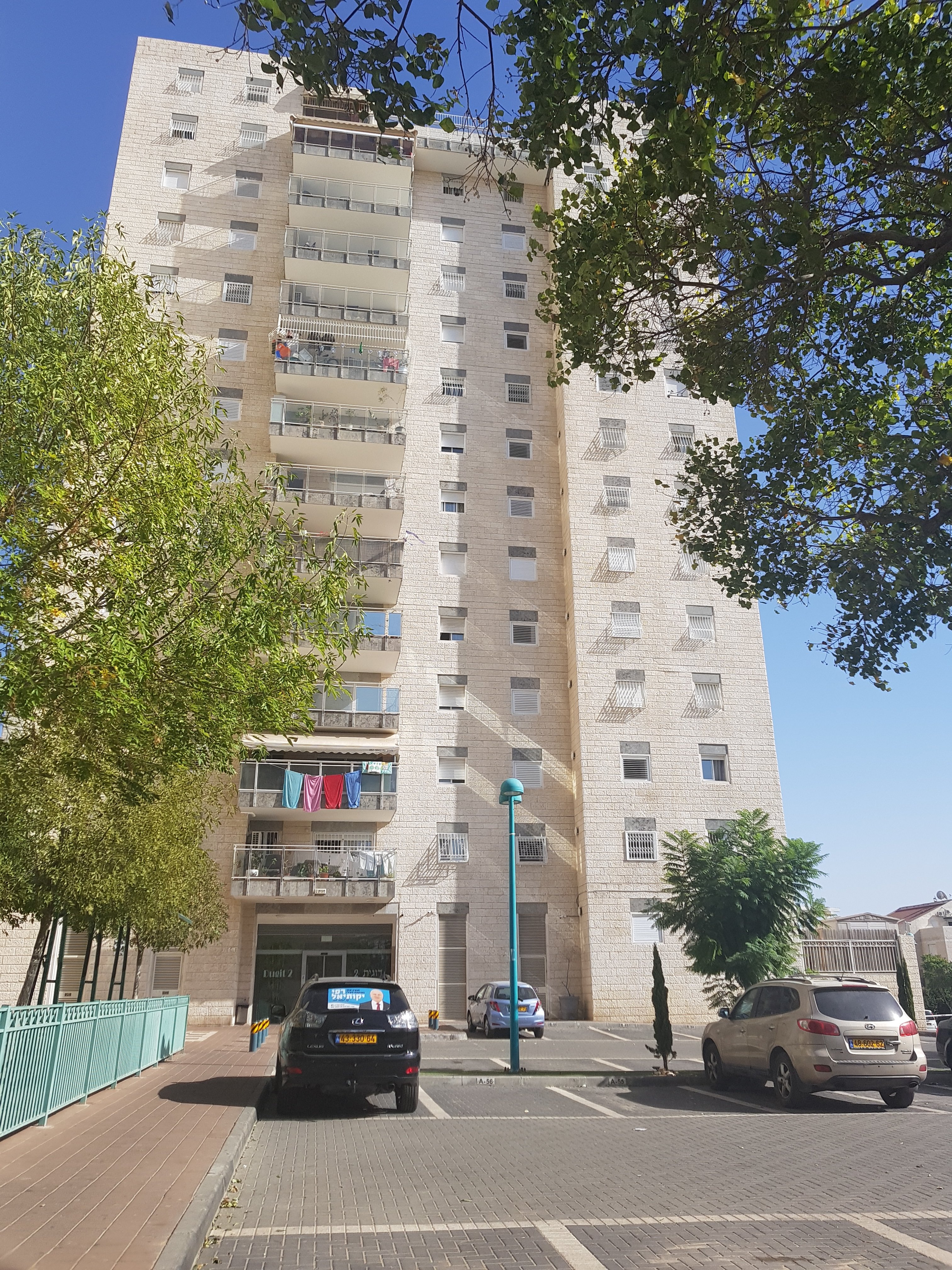 דוגית  - 8