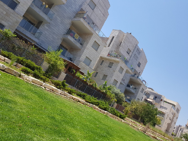 יונה וולך  - 4