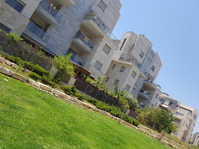 יונה וולך  - 5