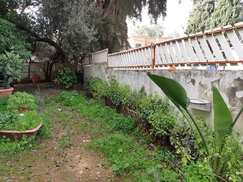 בילינסון  - 7