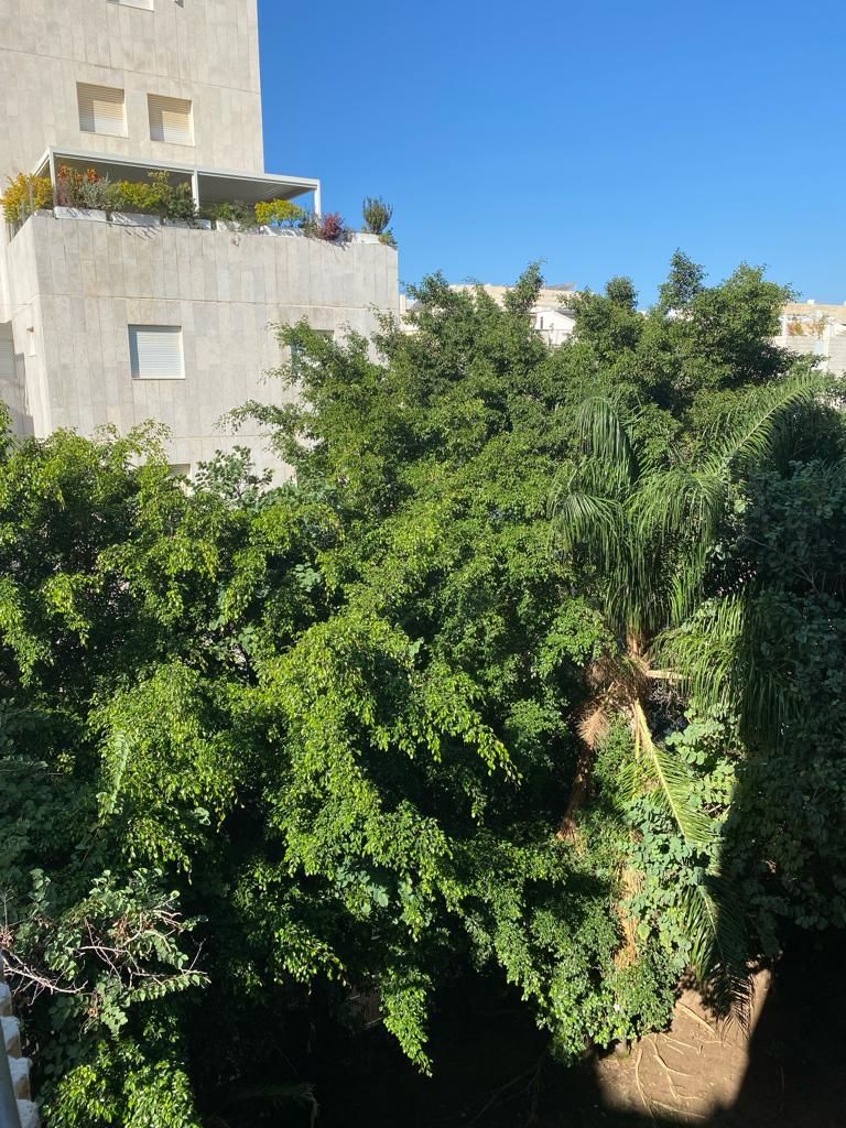 יהודה הנשיא - 6