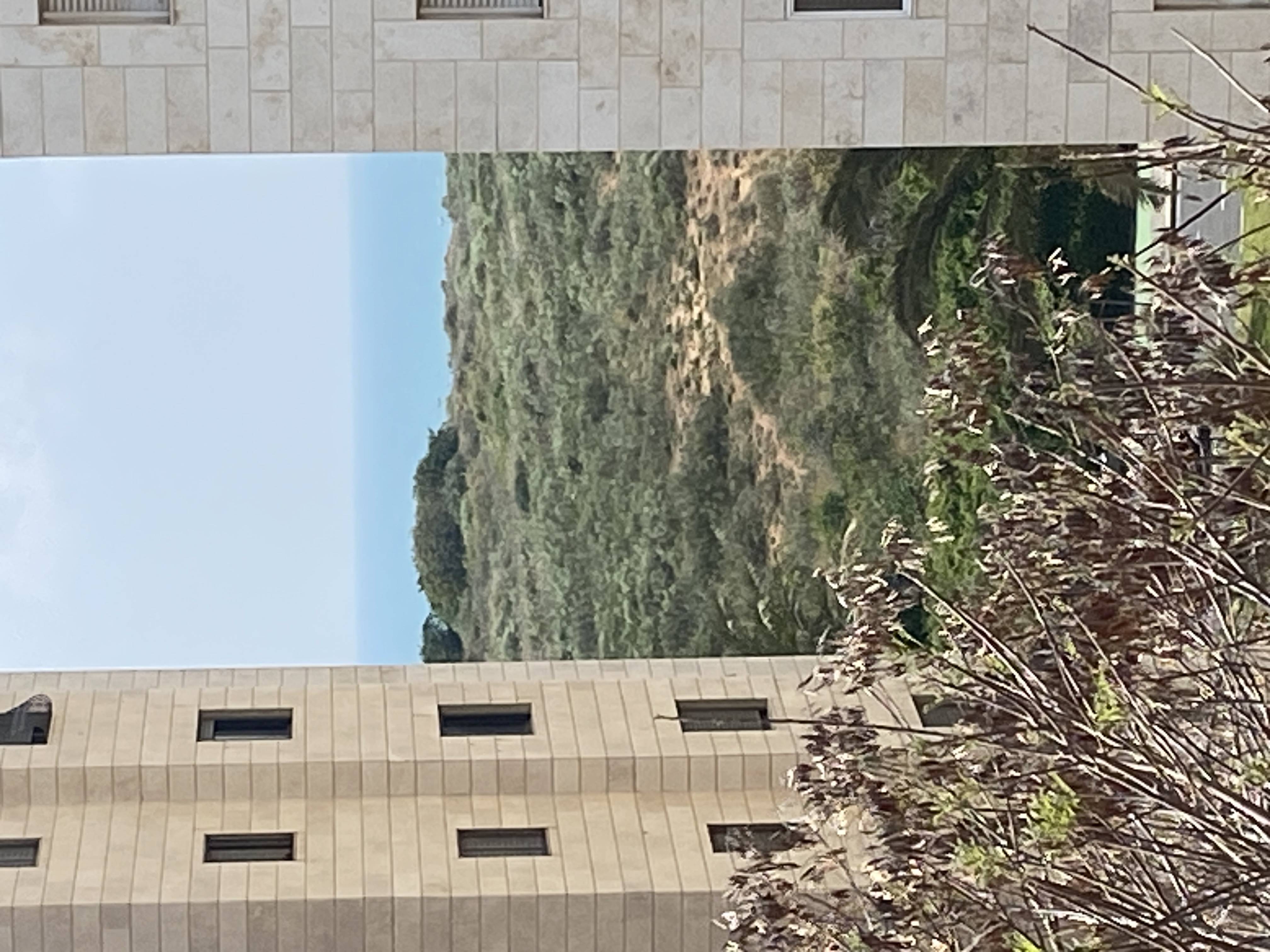 דולצ'ין אריה - 2