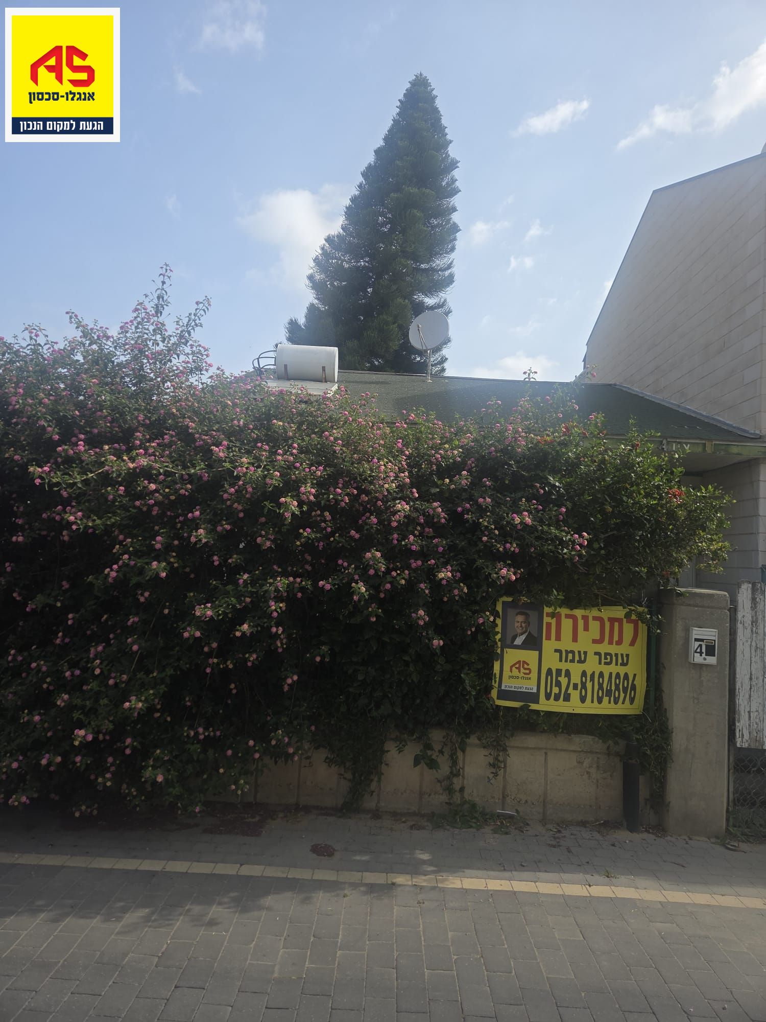 צין - 6