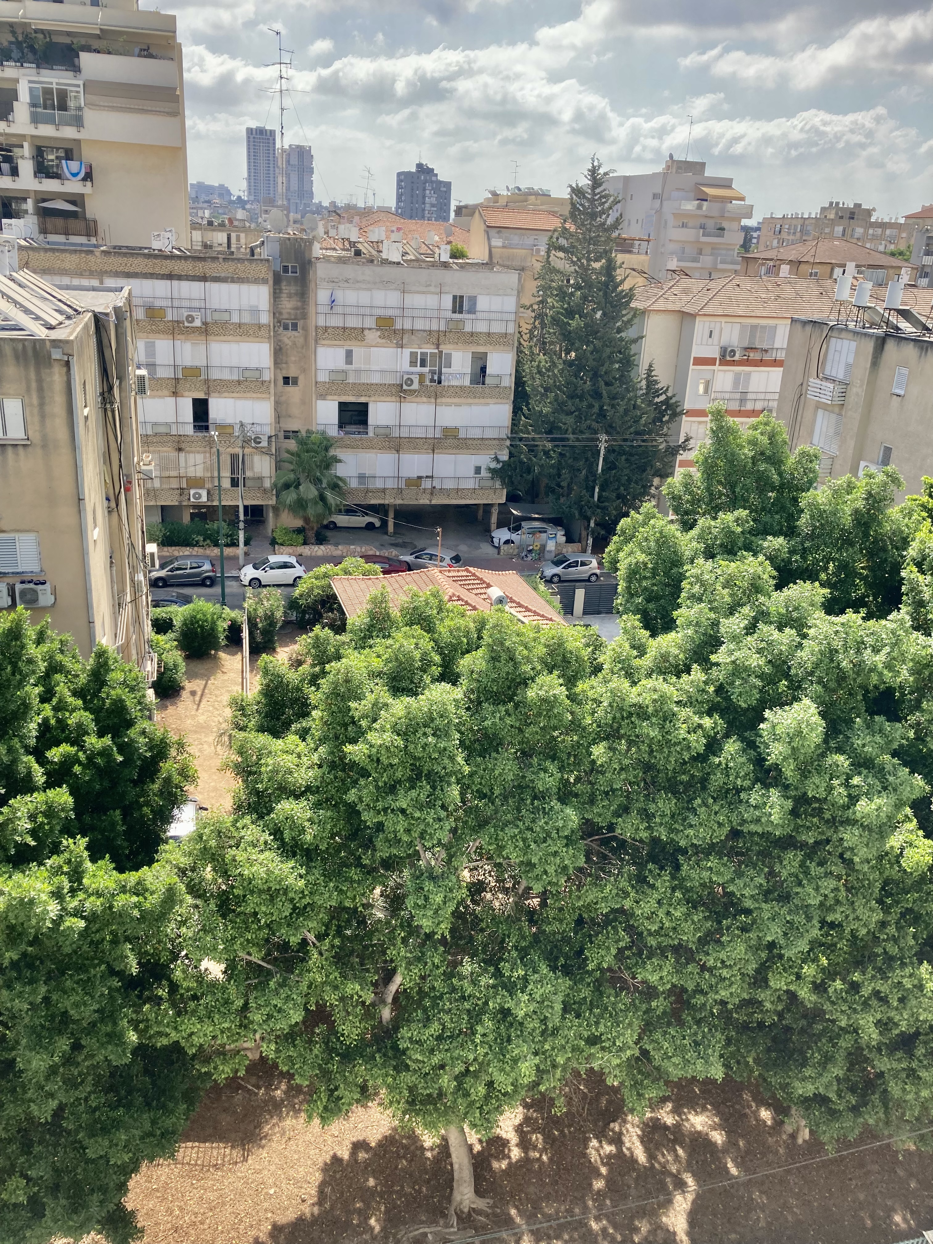 מוהליבר  - 6