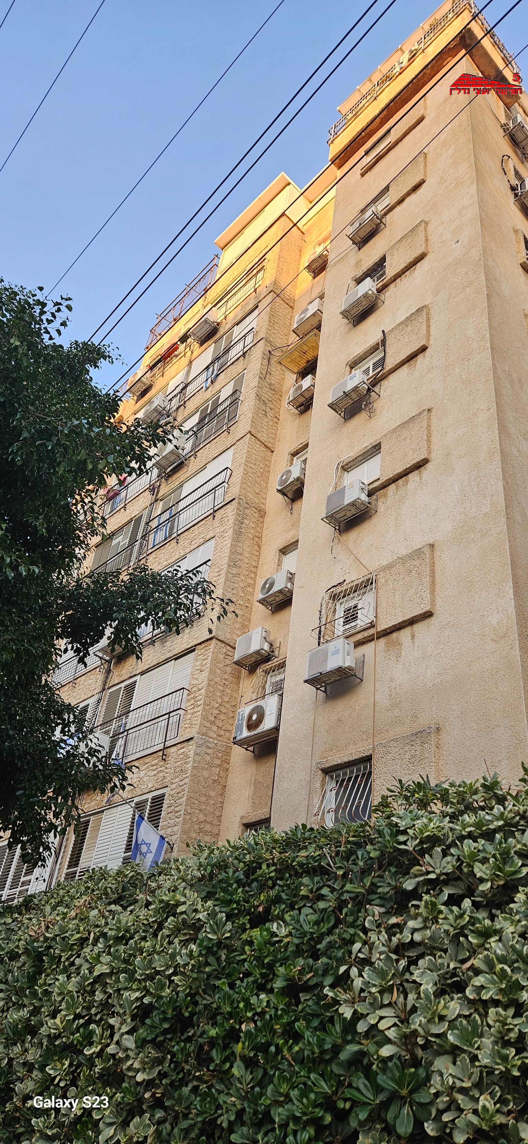 בלקינד שמעון - 11