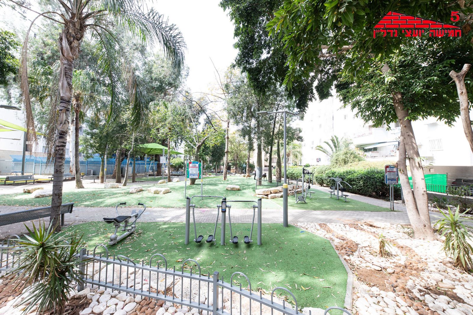 ברנדייס - 5