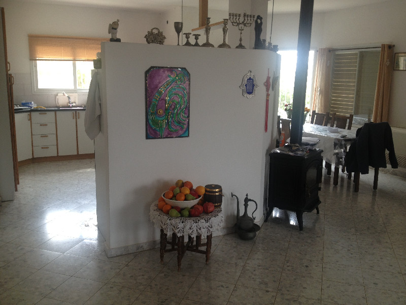 כלנית - 6