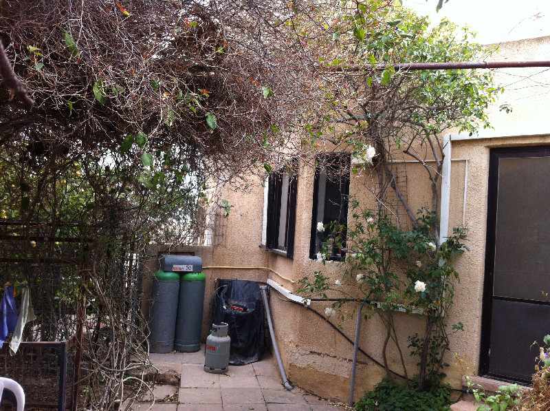 ענבר - 2