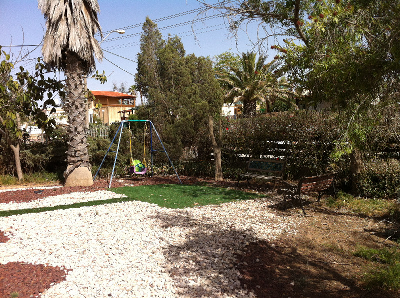צבי - 2