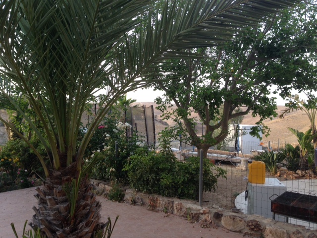 לשם - 3