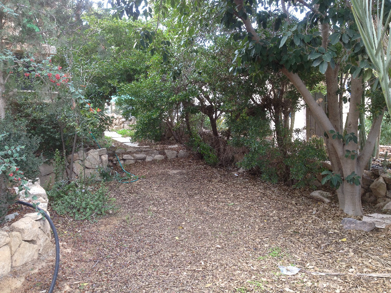אודם - 8