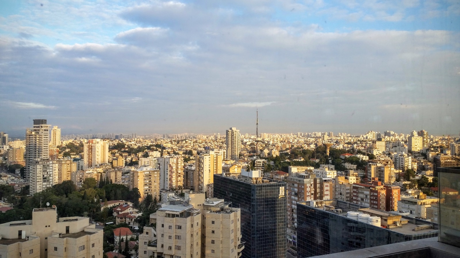 גלעד  - 15