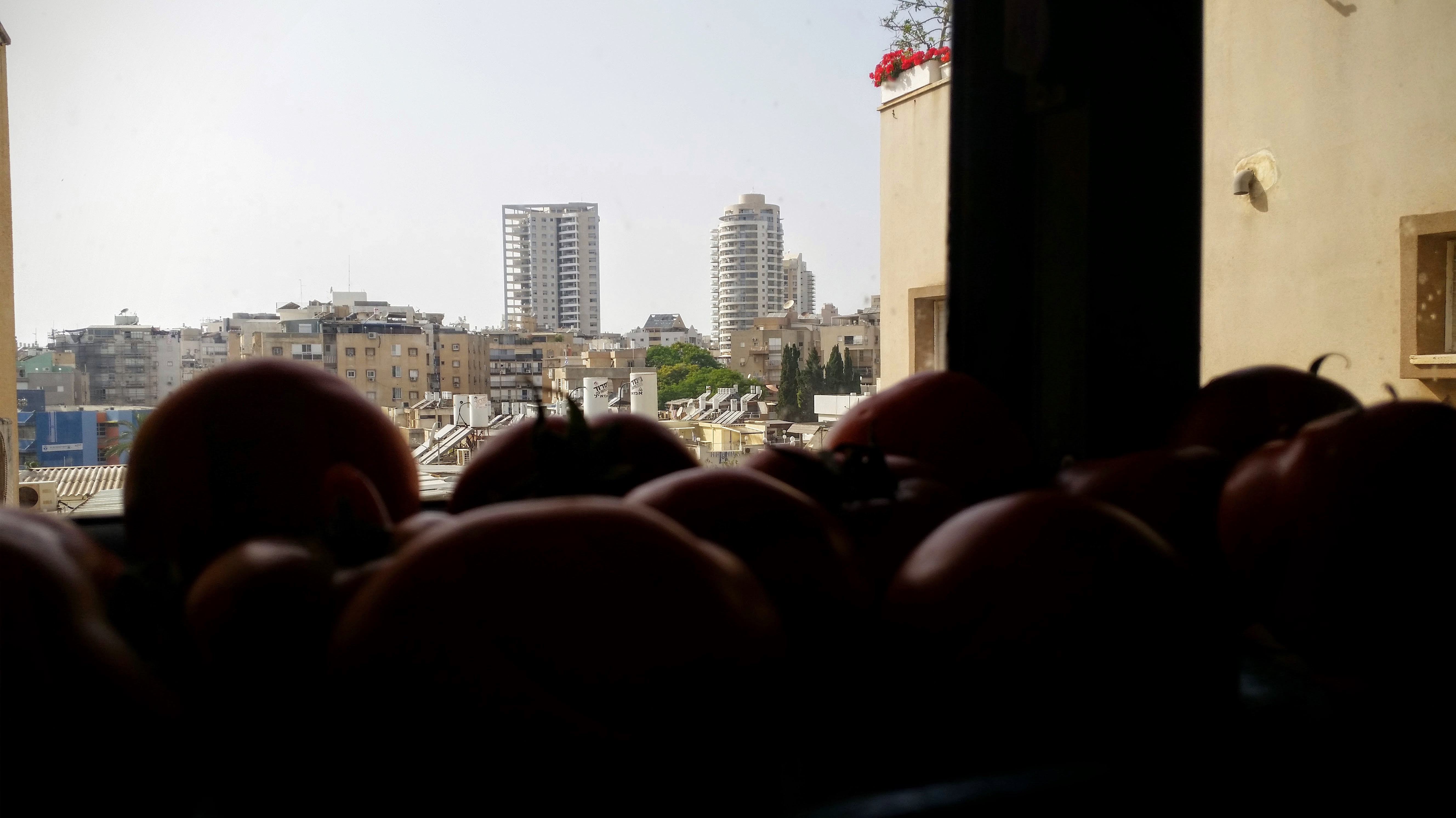 השר שפירא  - 6