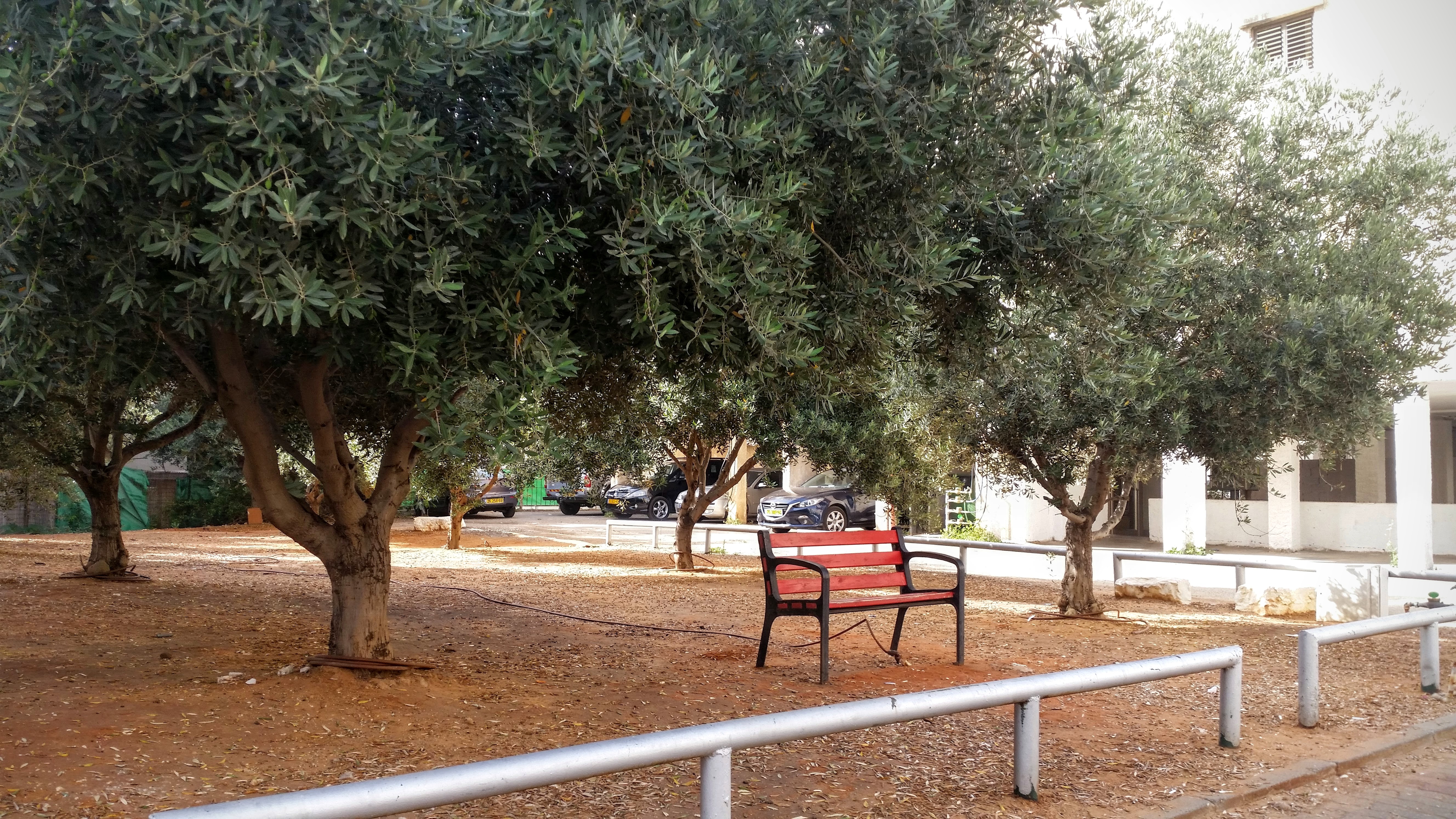השר שפירא  - 12