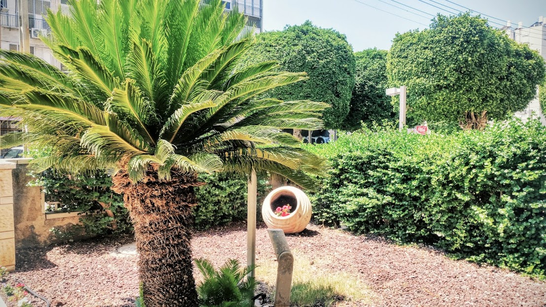 זבוטינסקי - 3