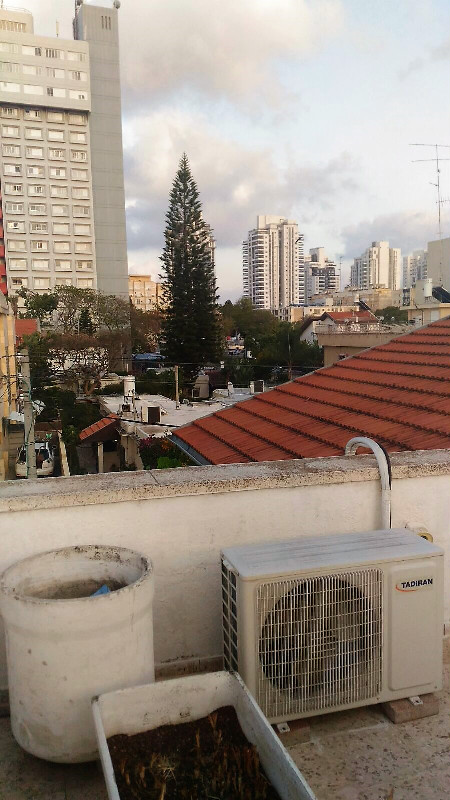 ארלוזורוב  - 6