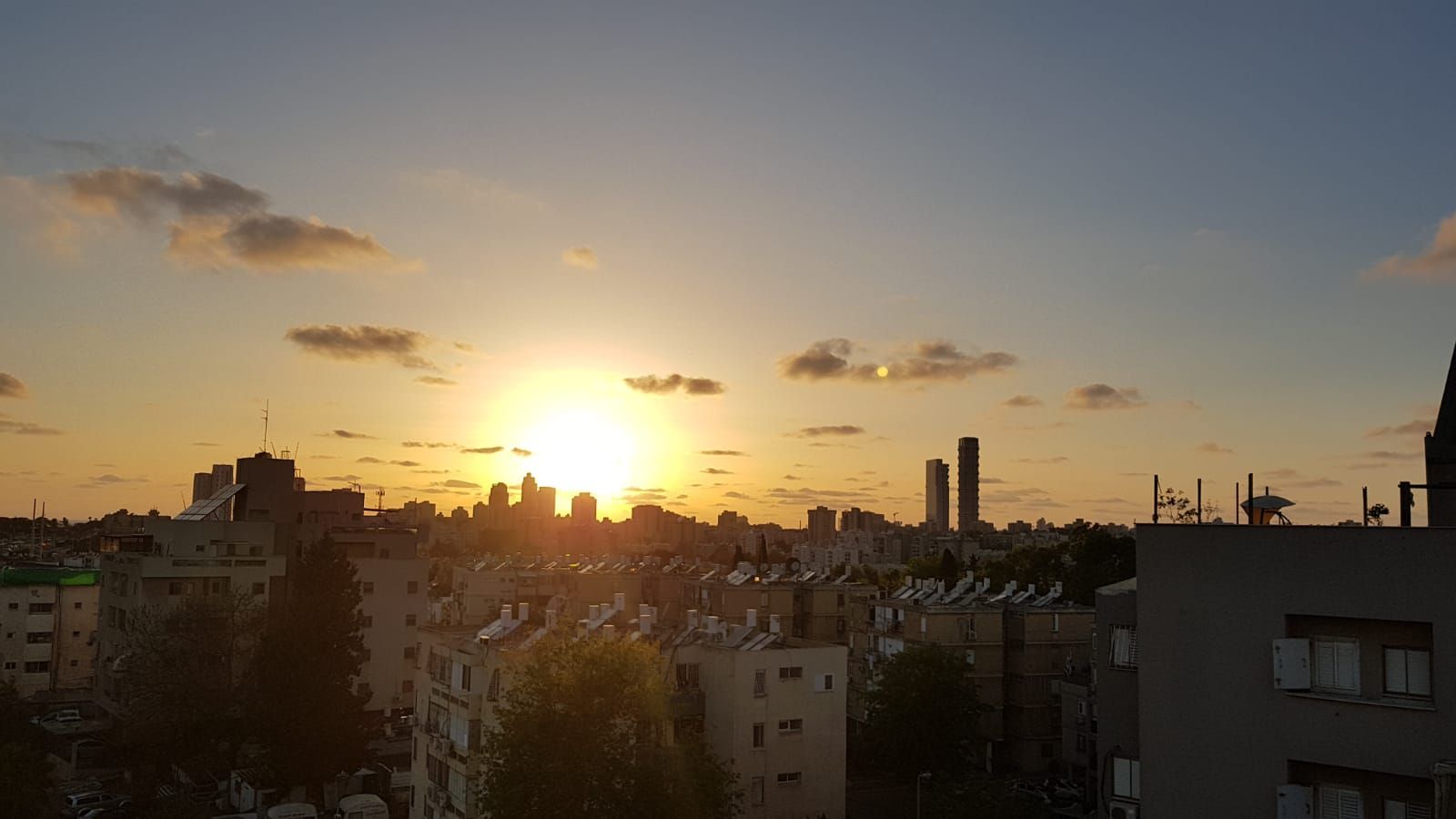 דולפין  - 14