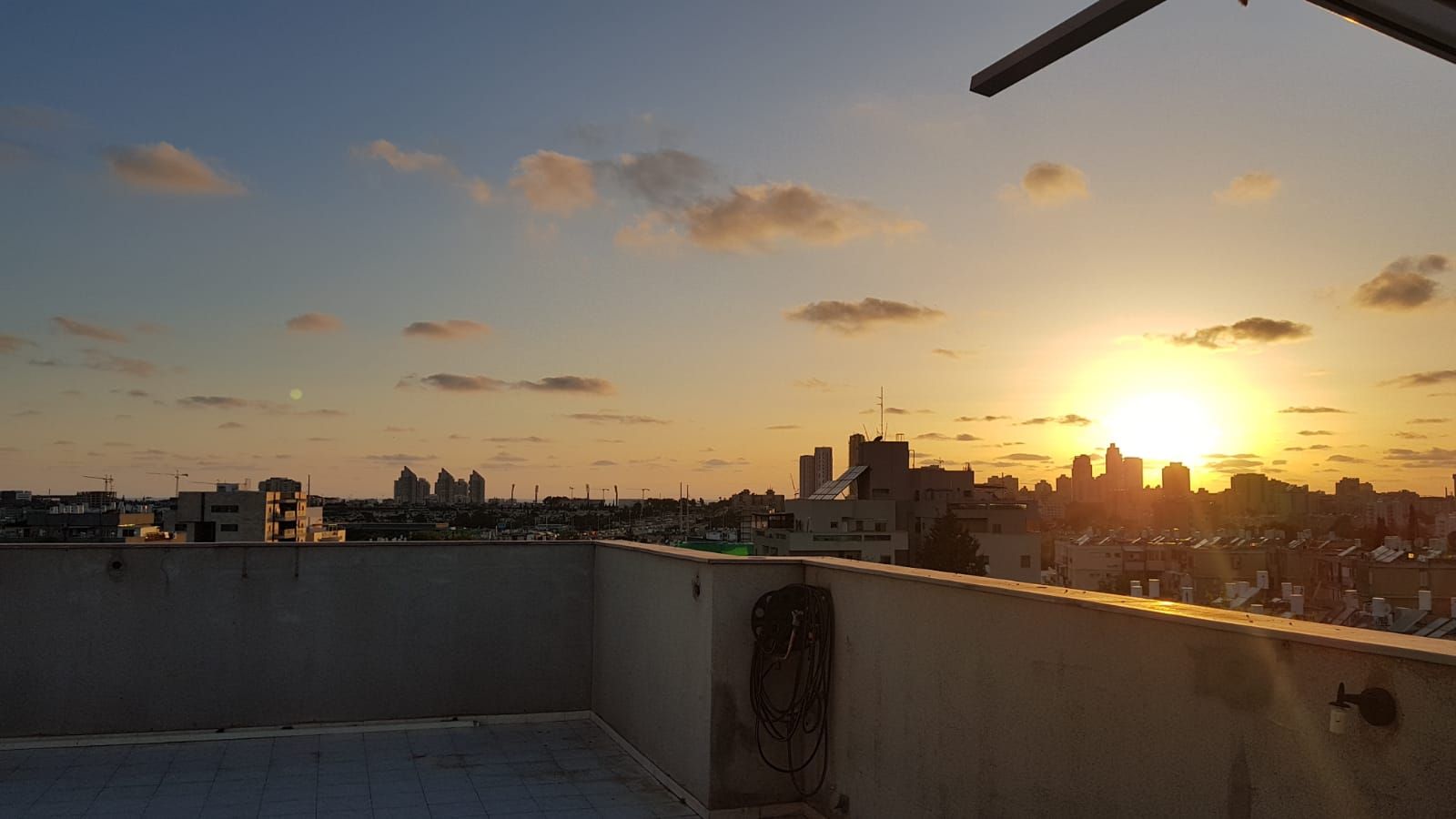 דולפין  - 15
