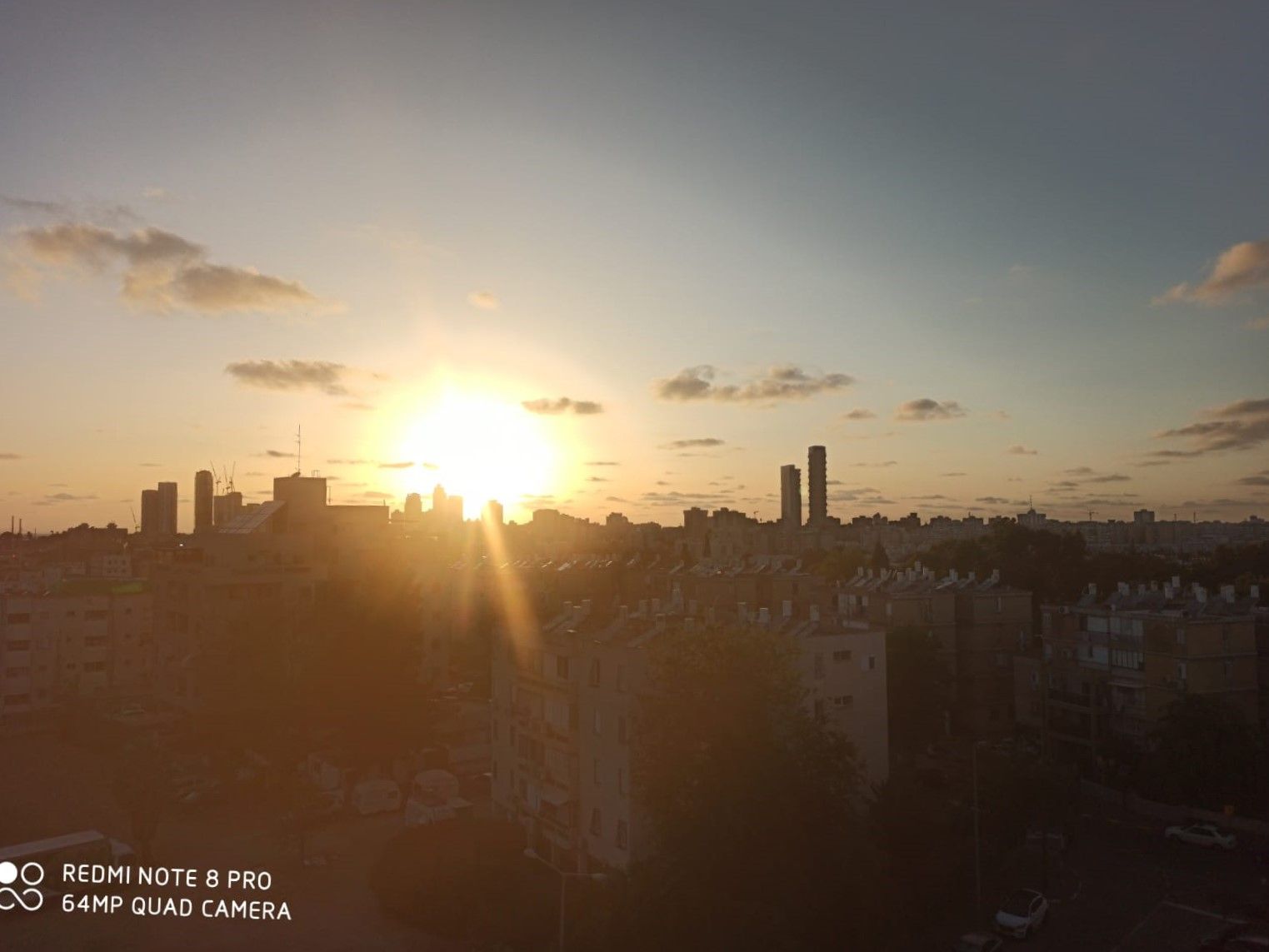 דולפין  - 27