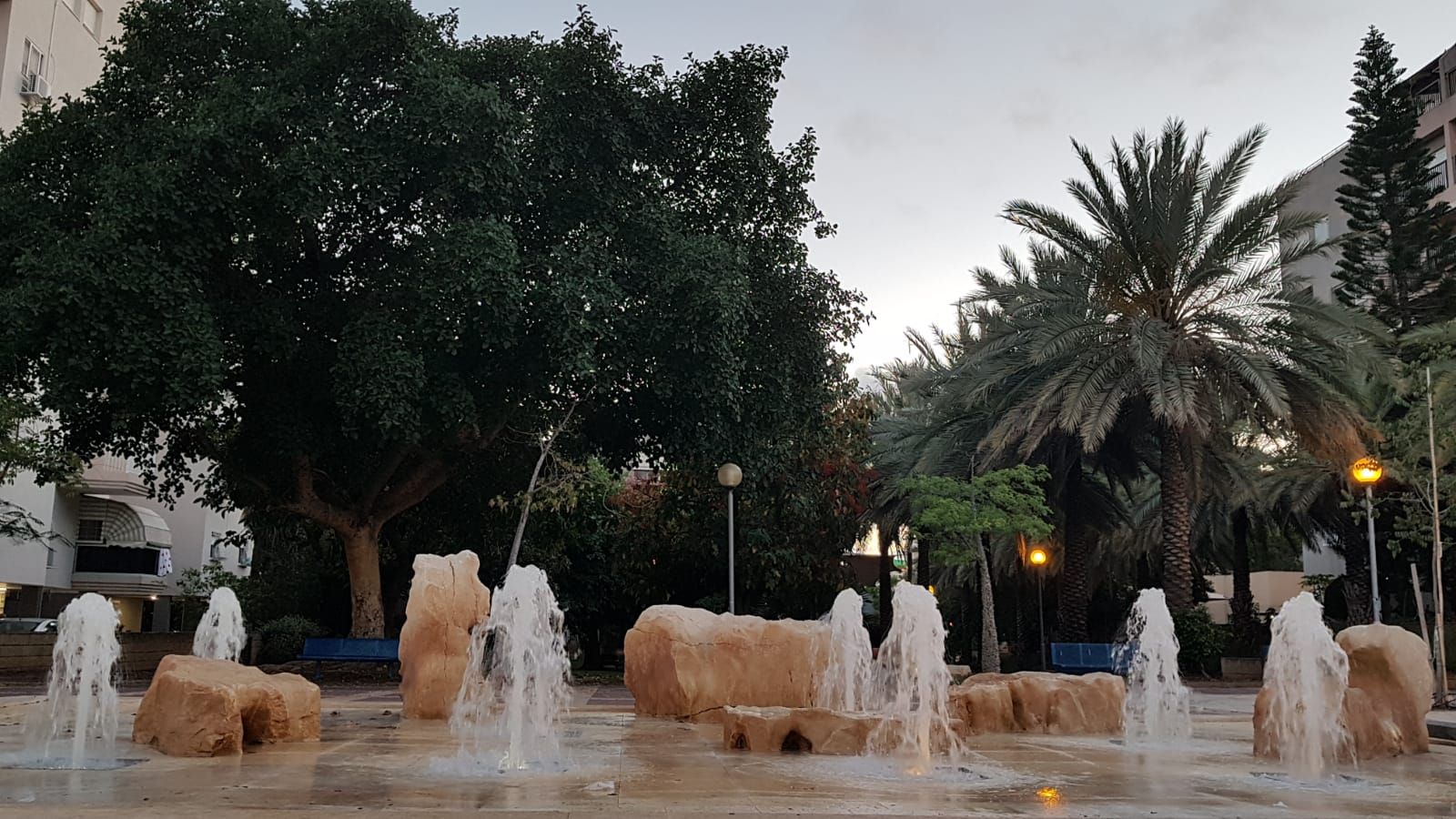 דולפין  - 29