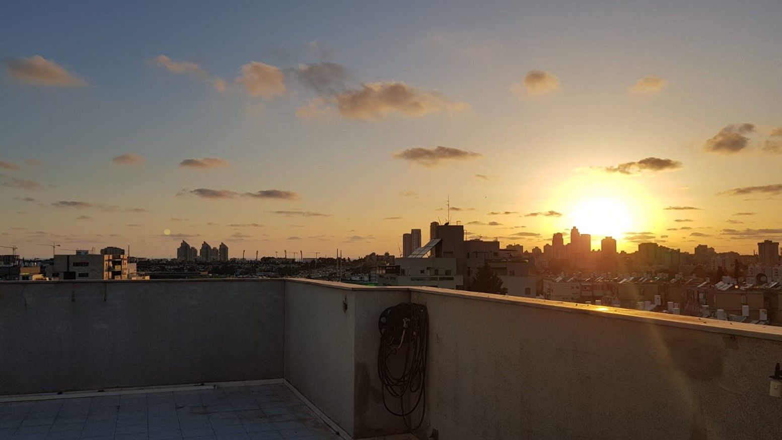 דולפין  - 16