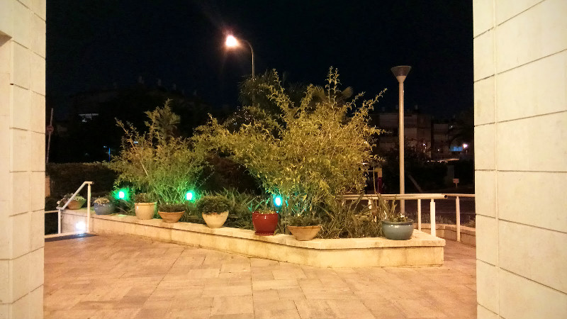 כצנלסון אהרון - 17