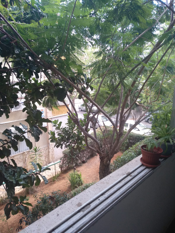 דניאל - 8