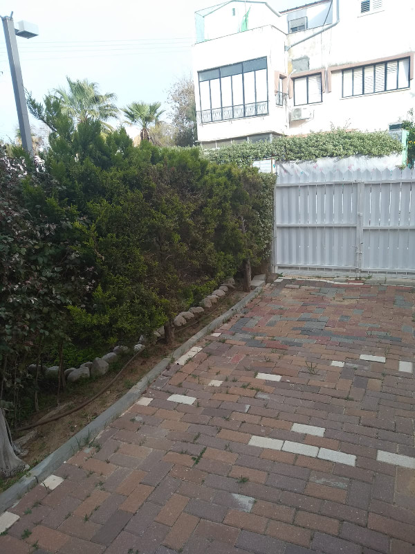 אלקלעי  - 3