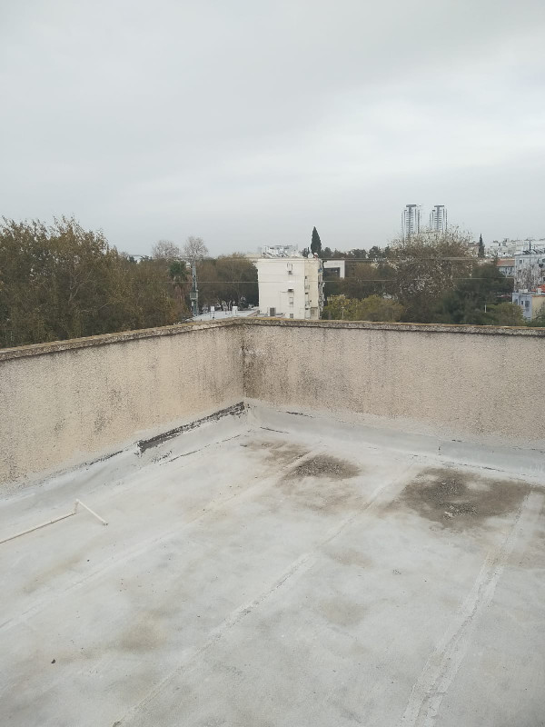 אלקלעי  - 4