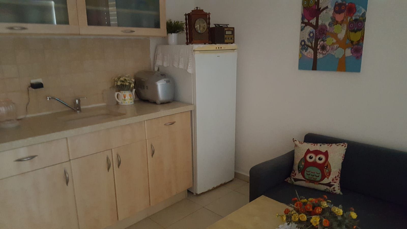 סוקולוב  - 13