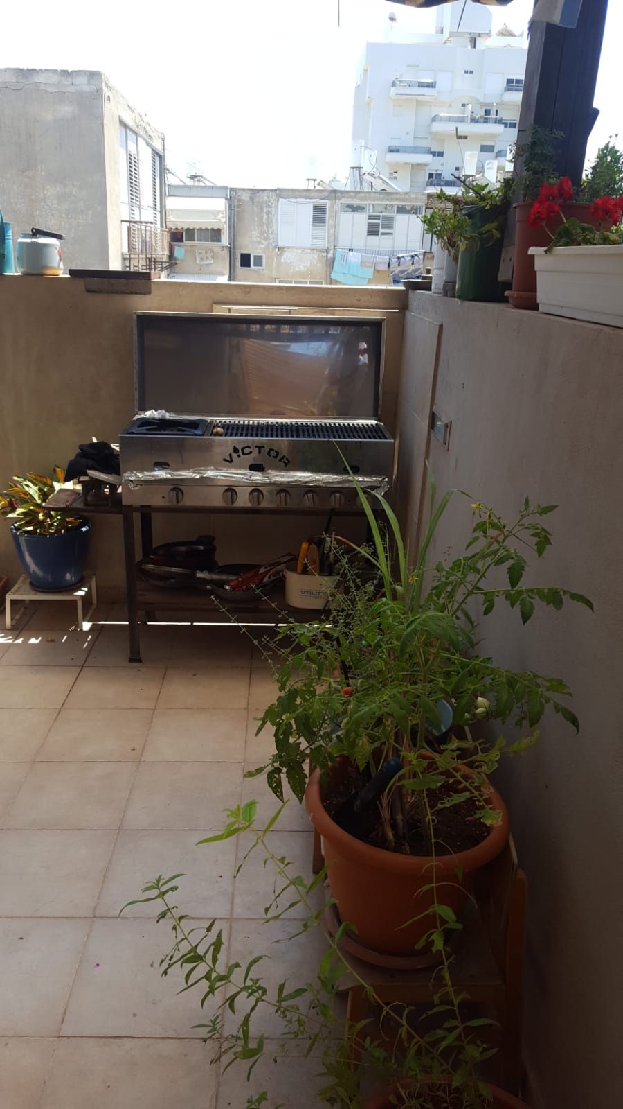 סוקולוב  - 15