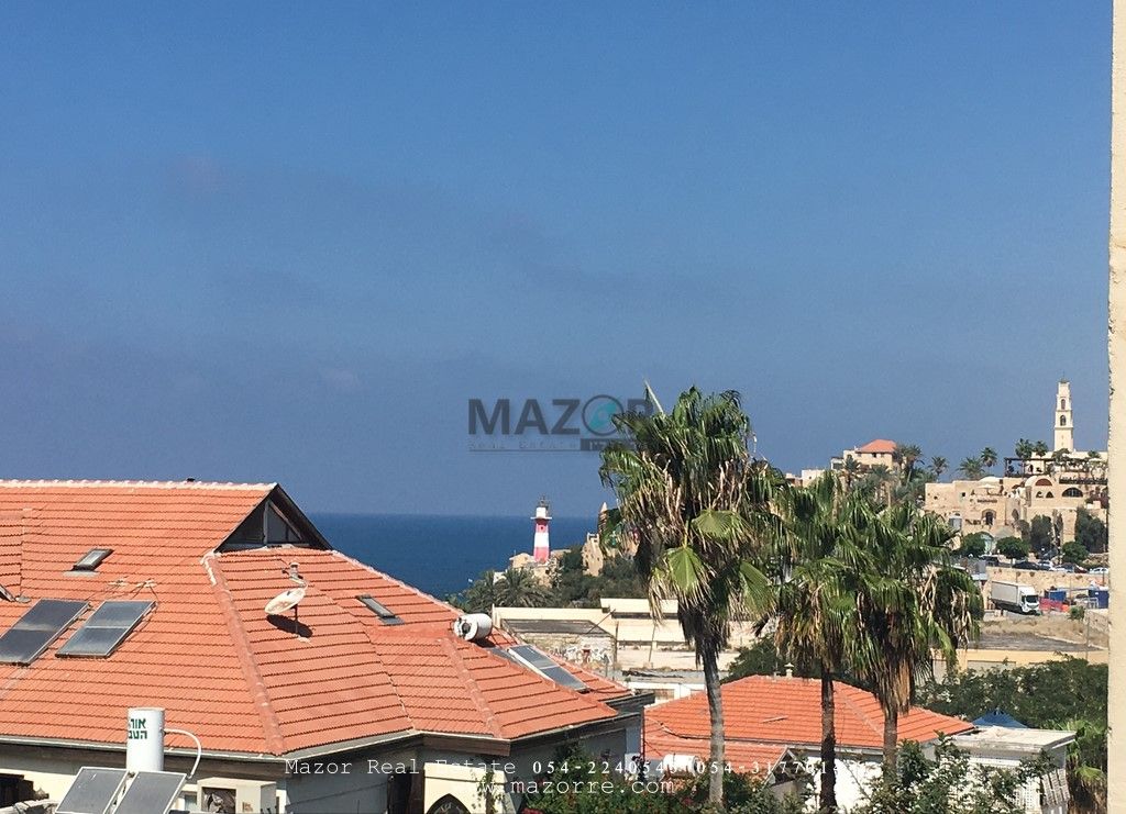 הצדף - 3