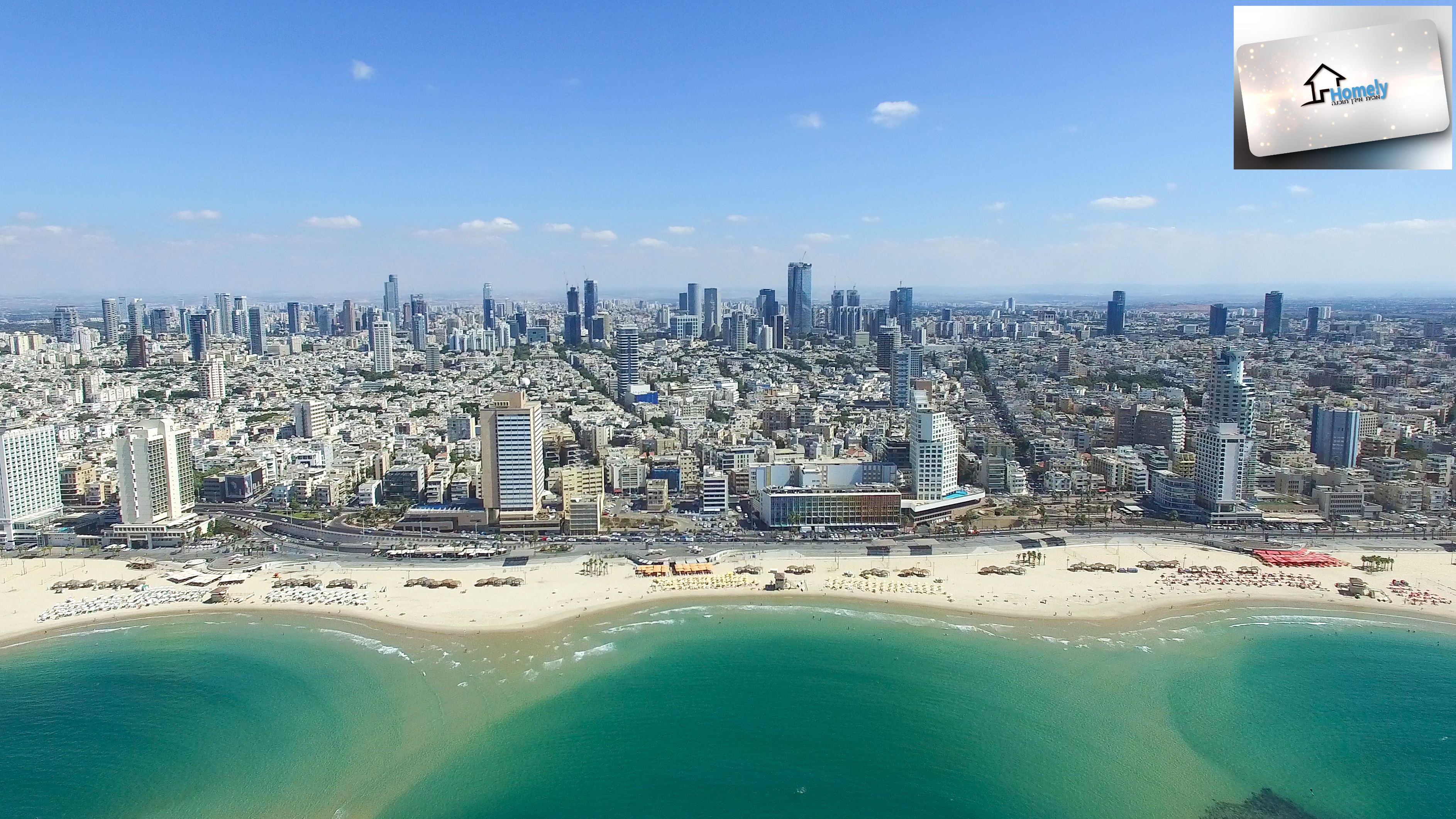 השקמה - 4