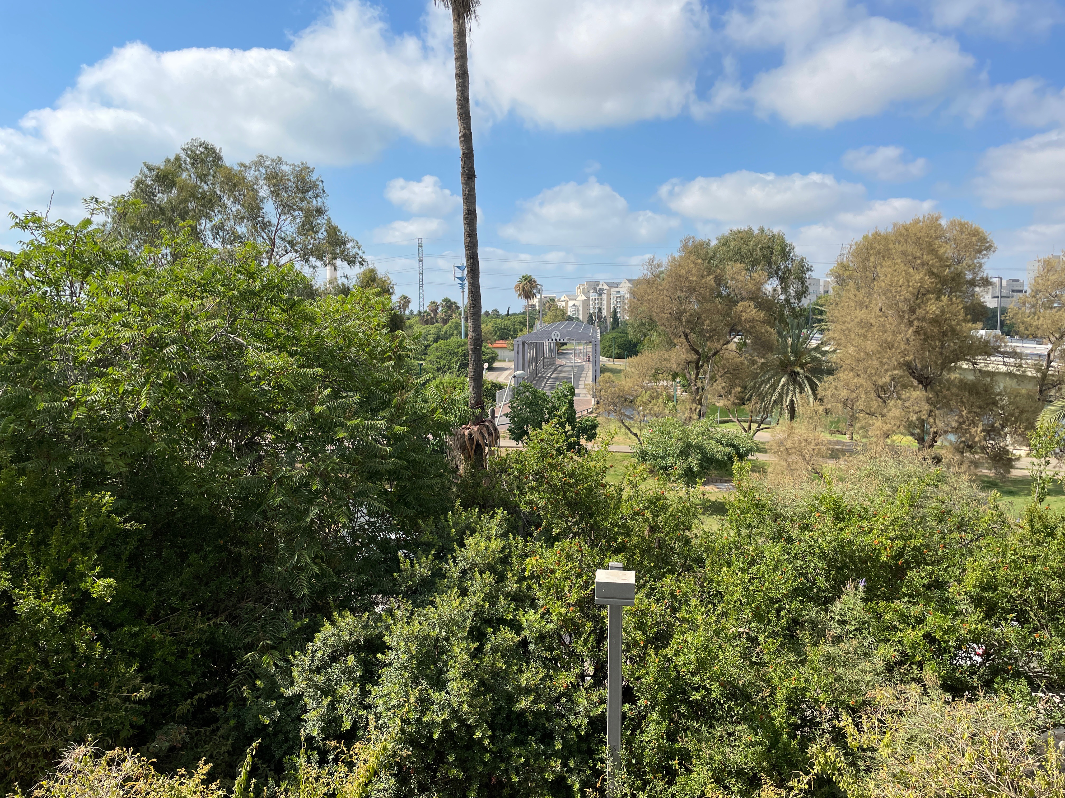 אוסישקין - 8