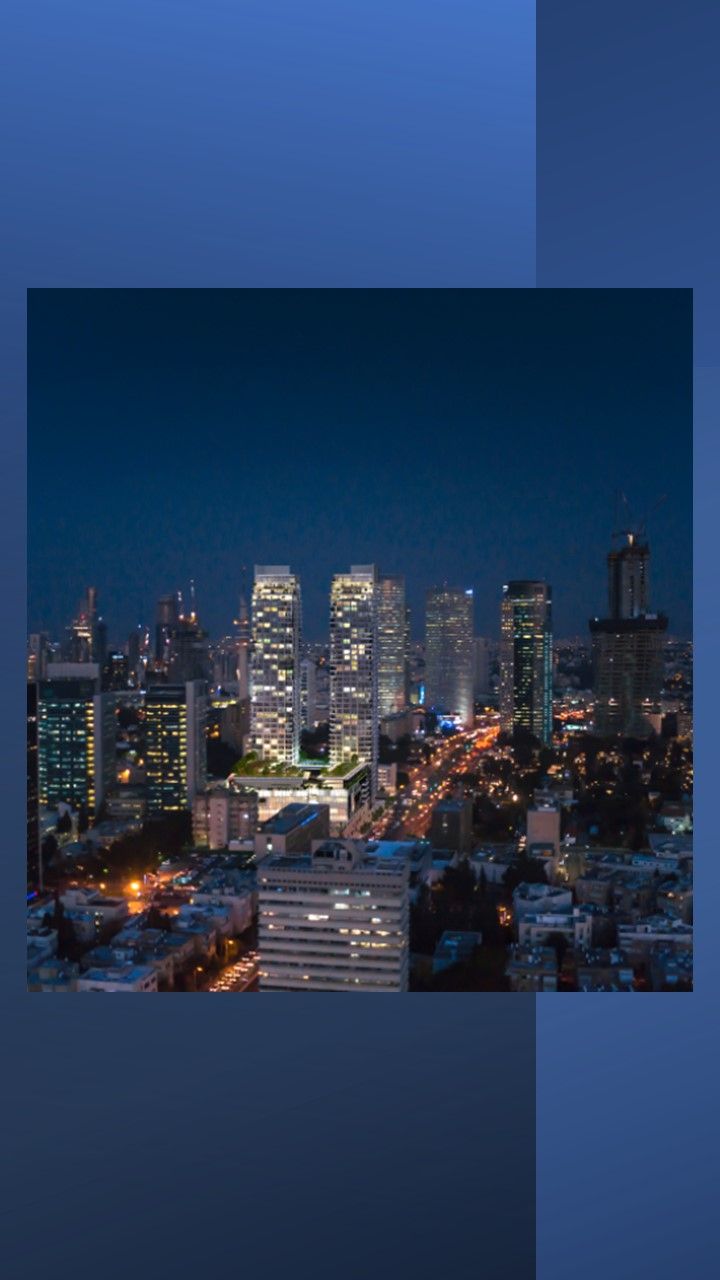לאונרדו דה וינצ'י - 5