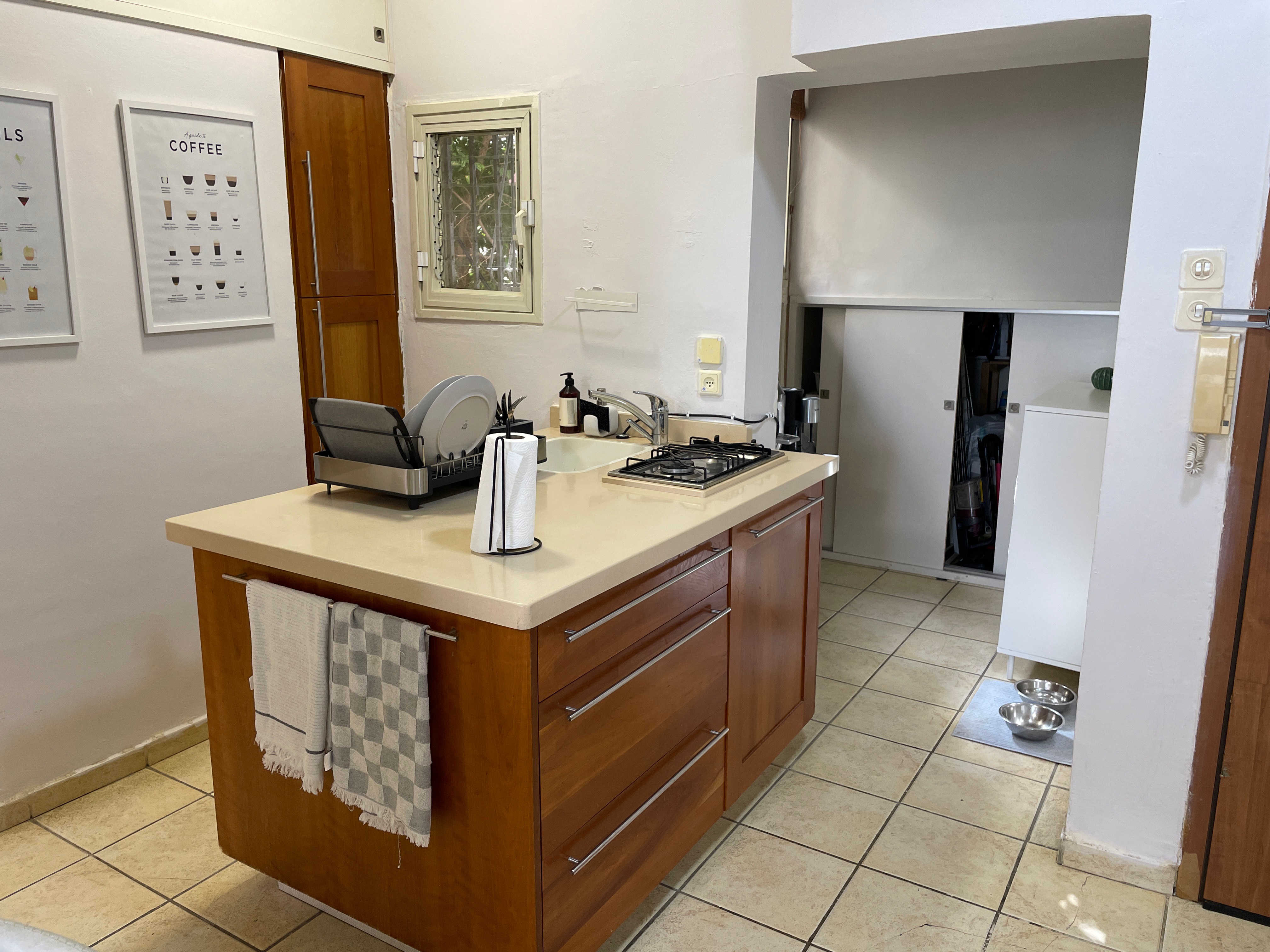 שלומציון המלכה - 6