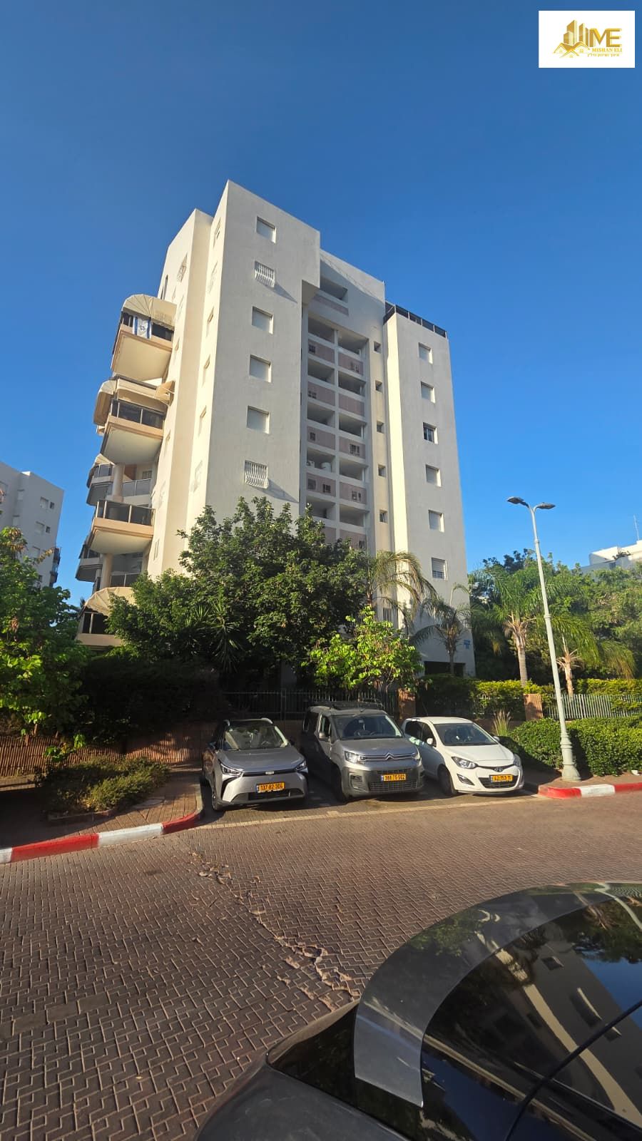 הזמורה  - 11