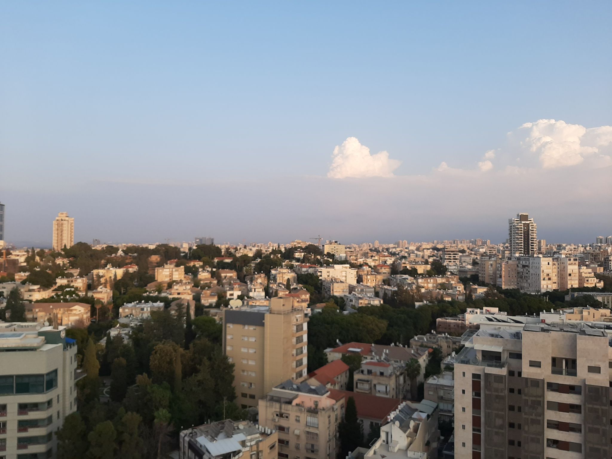 ביאליק  - 4