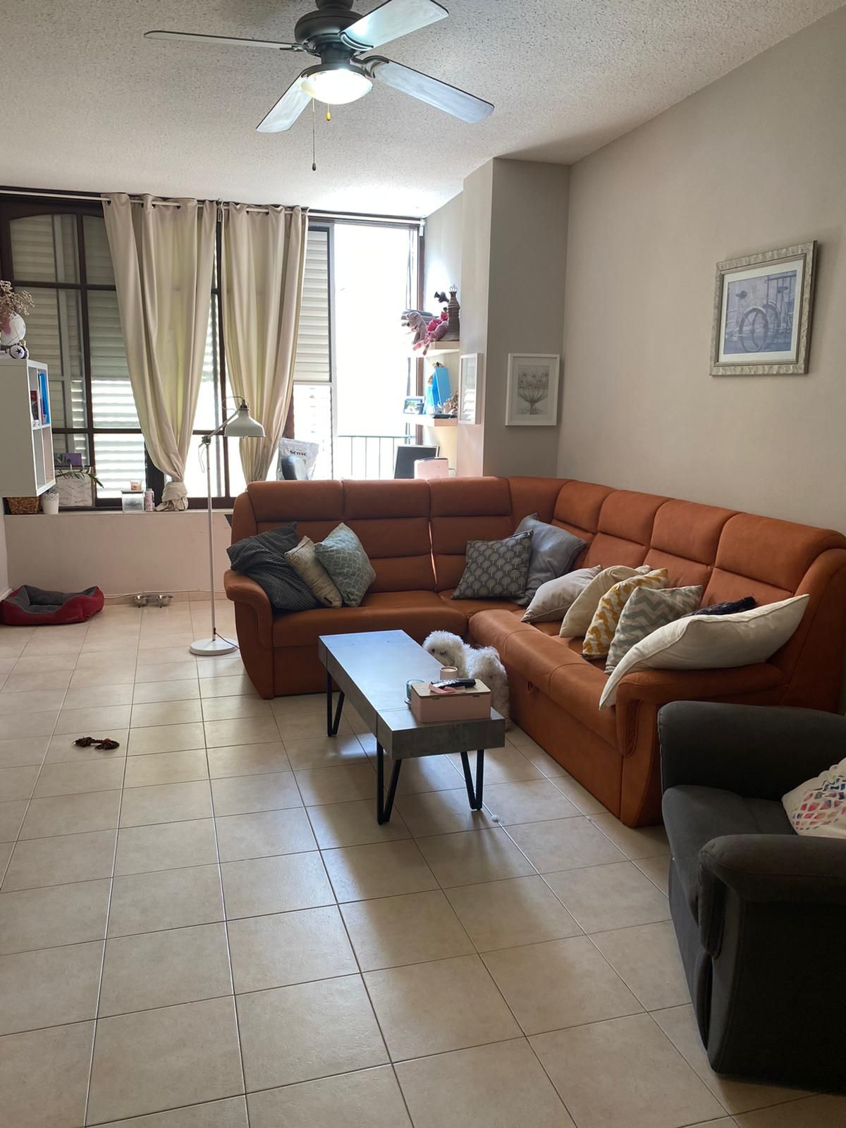 זבוטינסקי - 3