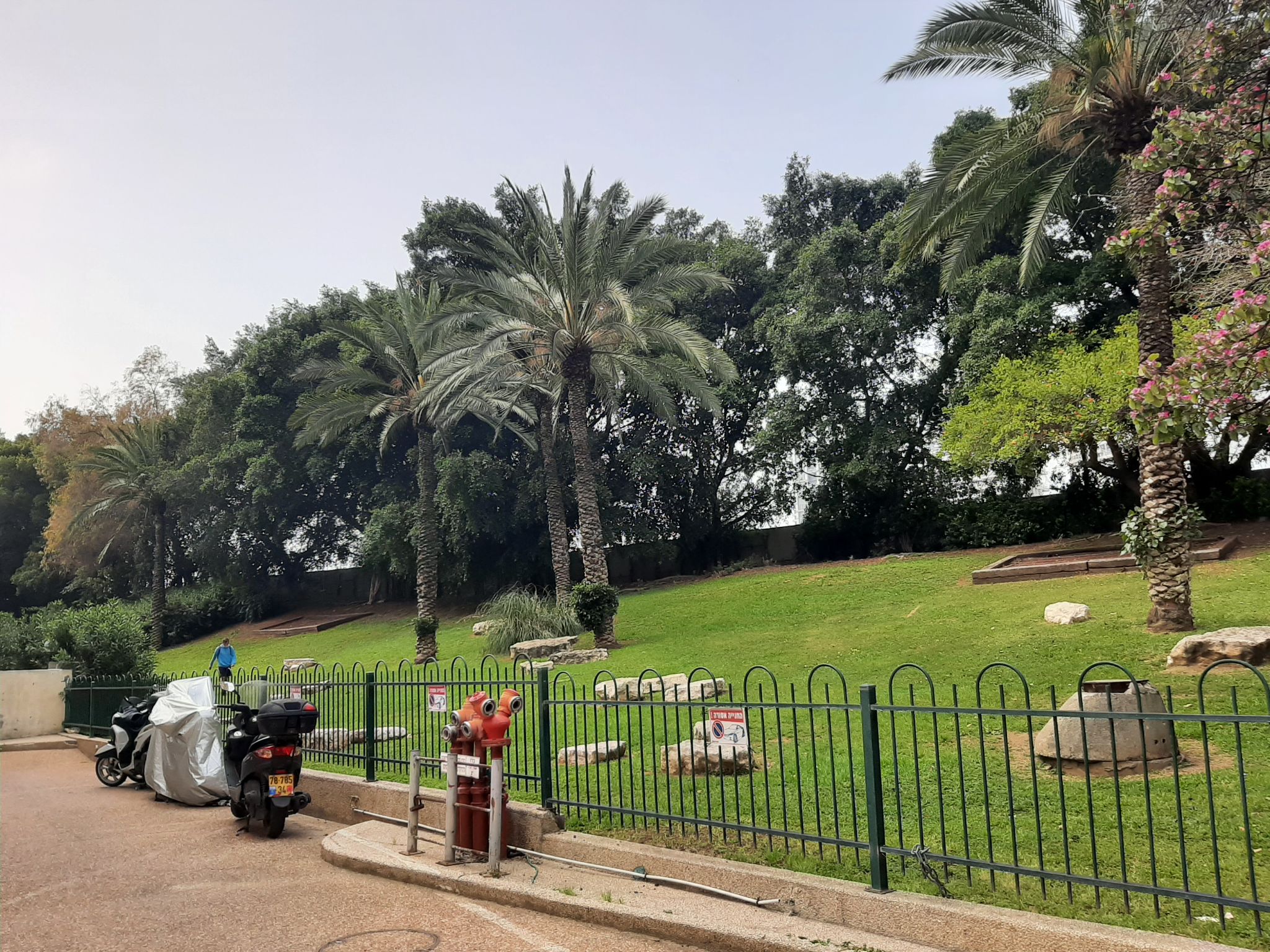 ידע עם  - 4