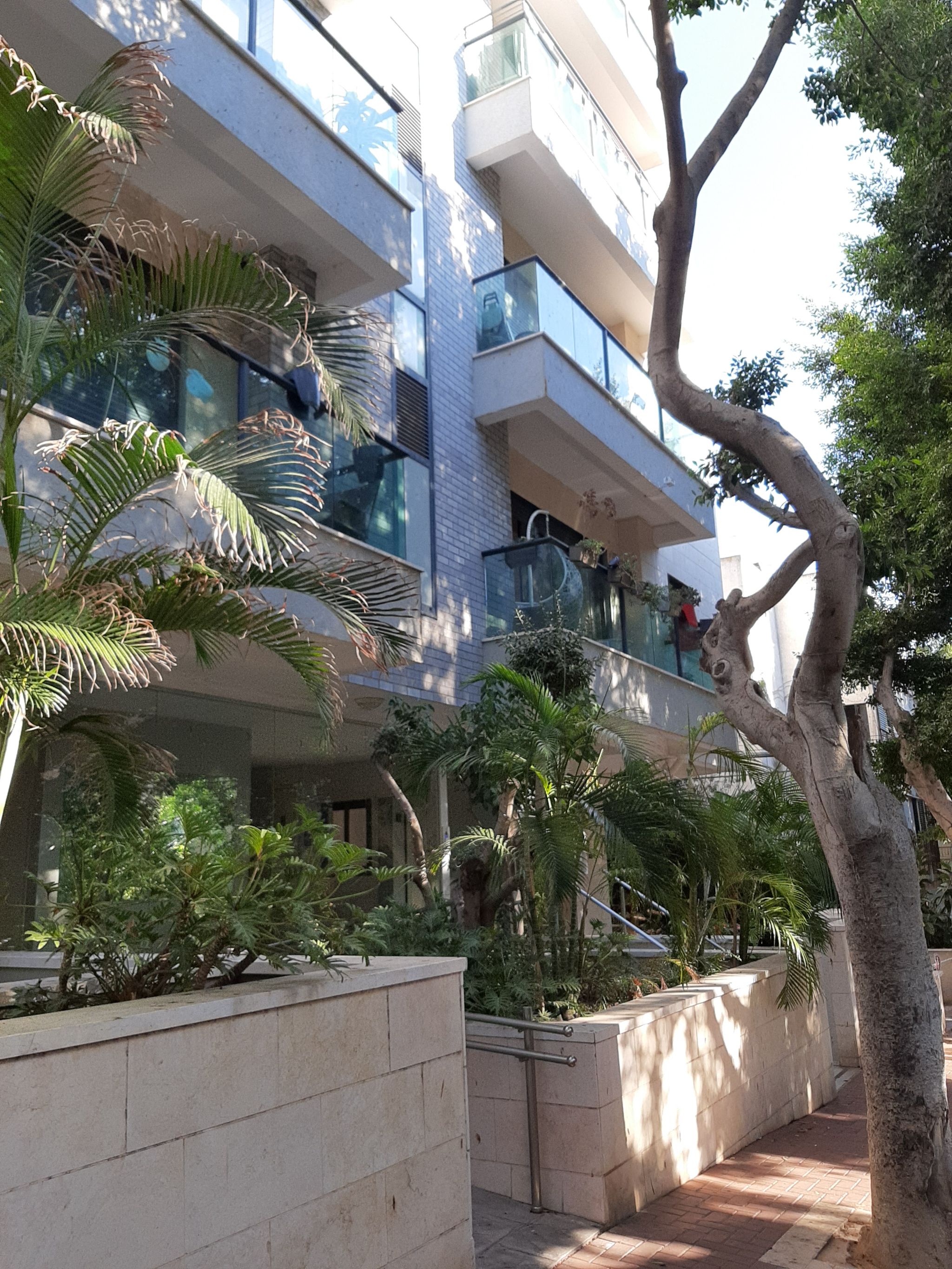 רמז דוד - 4