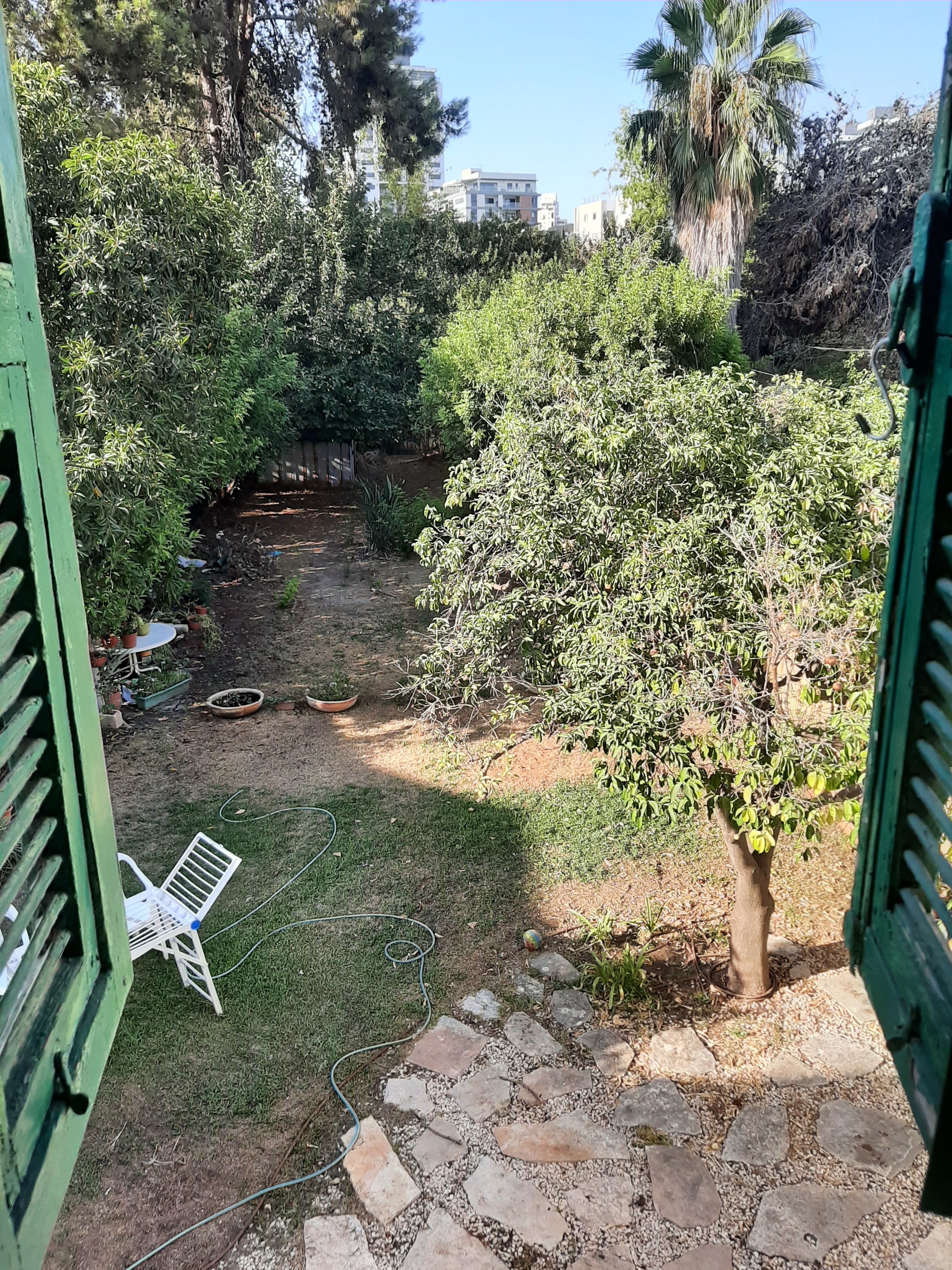 בן צבי - 3