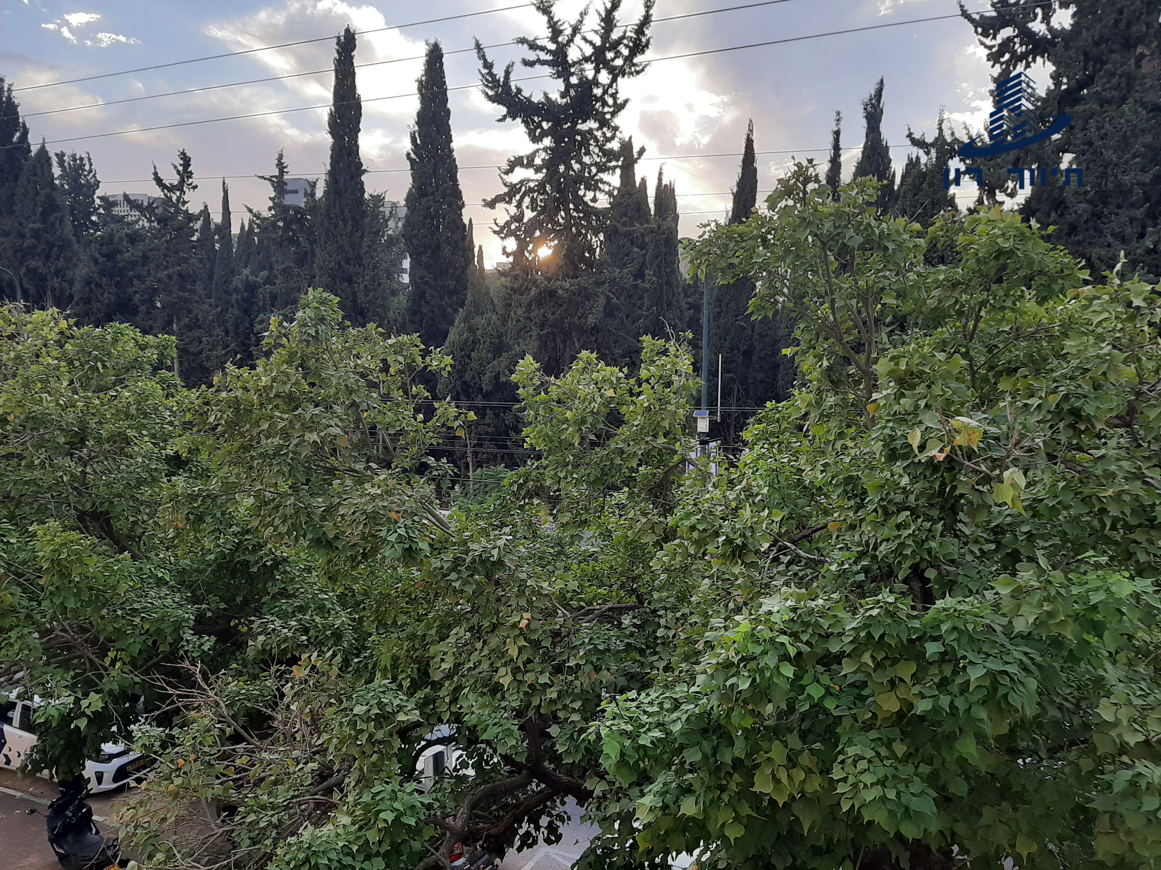 ויצמן - 3