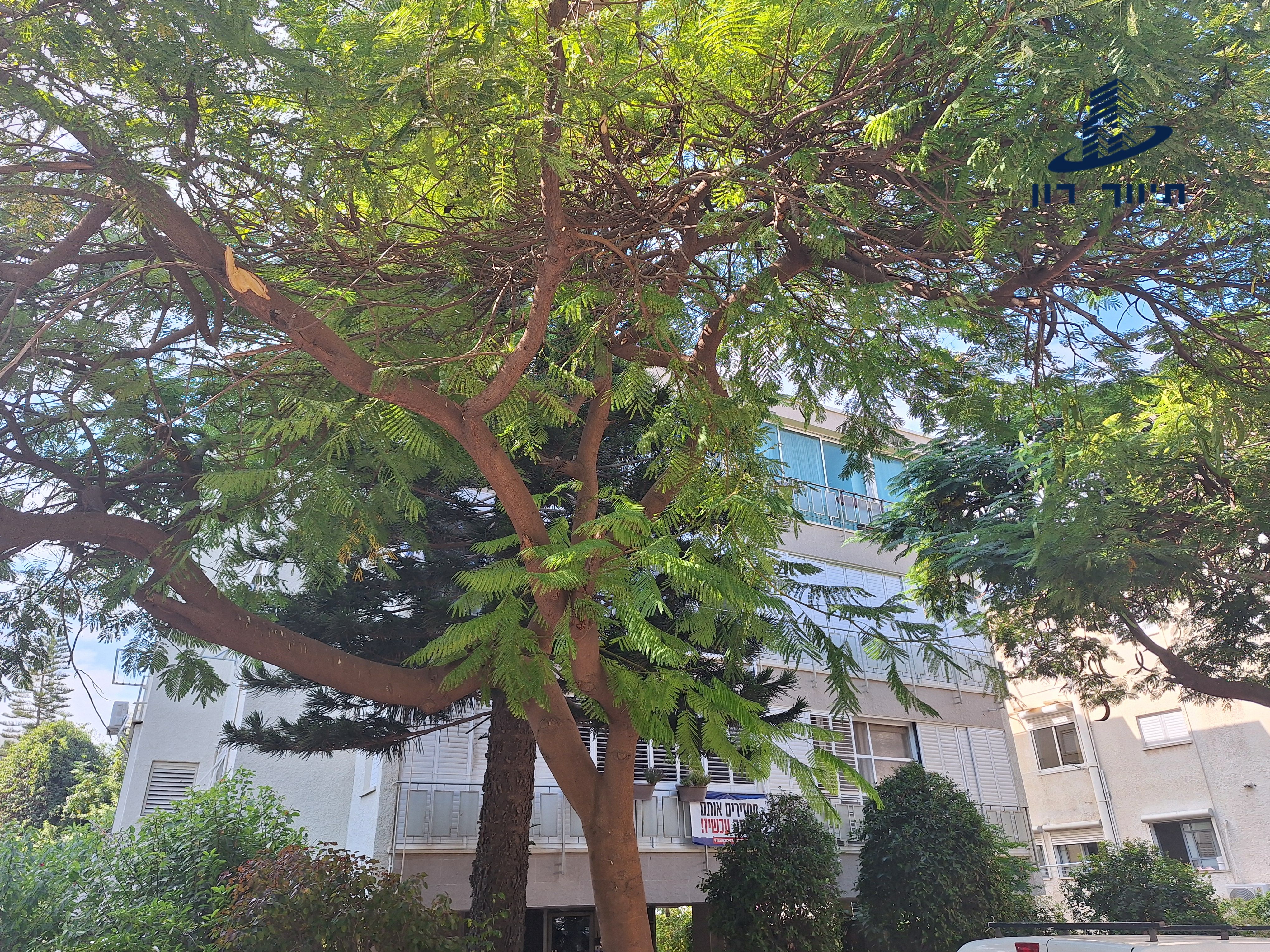 קקל  - 6