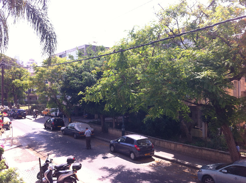 חרות - 3