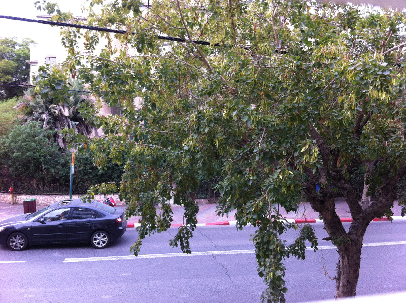 קריניצי - 2