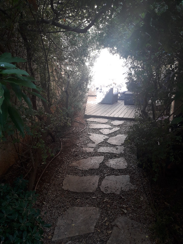 קלוזנר - 3